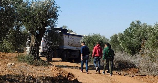 IOF bars Palestinian farmers from reaching their lands in Nablus