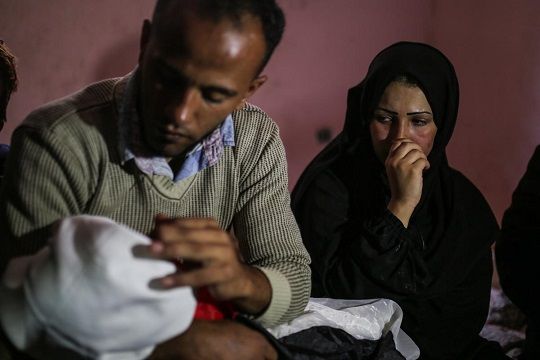 Gaza Strip: 2,786 new births, 319 deaths in May