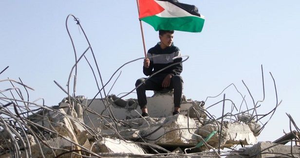 IOF rounds up 5 Palestinian shepherds in al-Khalil