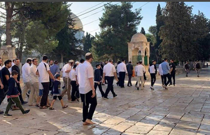 Dozens of Jewish settlers storm Aqsa, perform Talmudic rituals