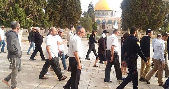 Israeli settlers, intelligence officers defile Aqsa Mosque