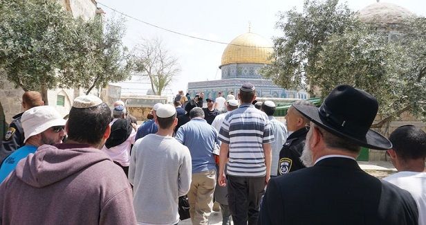 Over 120 settlers defile Aqsa Mosque