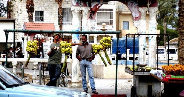 Jericho bananas could face extinction