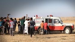Israeli forces injure Palestinian, scores suffer tear gas inhalation during clashes in Gaza
