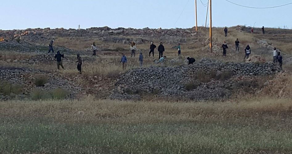Jewish settlers attack Palestinian citizens overnight in W. Bank