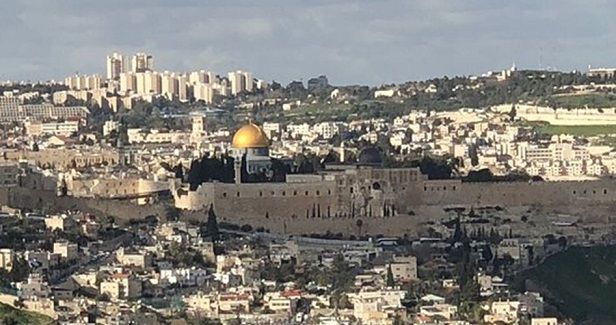 Haaretz: Elad imposed its control over Peace Forest in J�lem