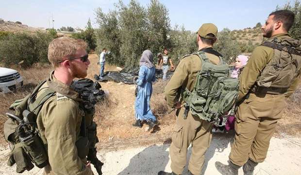 Jewish settlers assault farmers, steal olives in southern Nablus