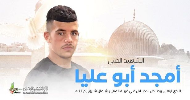 Palestinian teen shot, killed in Ramallah anti-settlement march