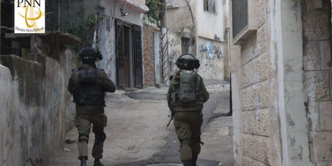 IOF detain 29 Palestinians in West Bank raids