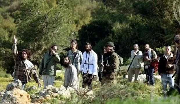 Jewish settlers destroy trees, crops in southern al-Khalil