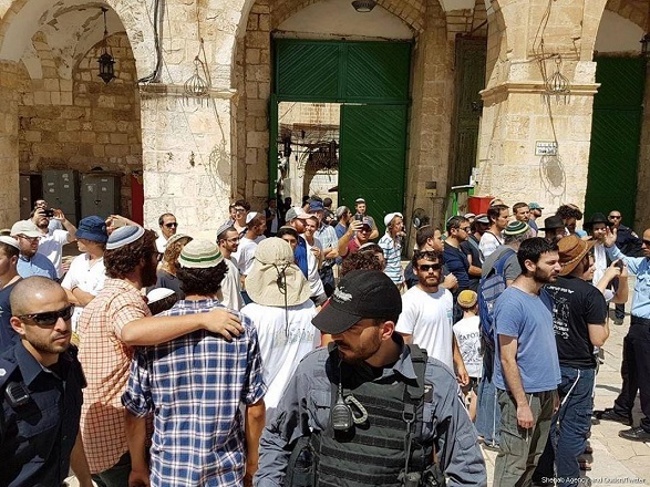 100 Israel violations of Al-Aqsa, Ibrahimi mosques in November