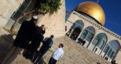 Dozens of Jewish settlers desecrate Aqsa Mosque