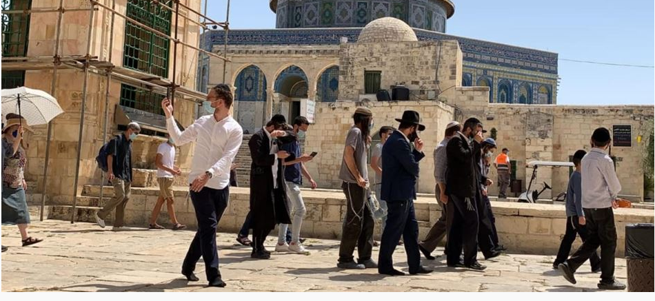 Over 60 Settlers storm Al-Aqsa courtyards