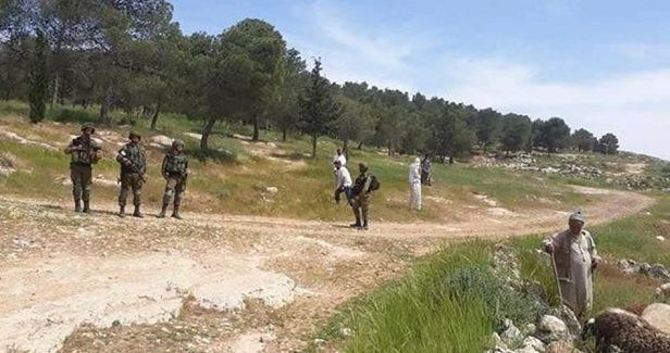 Israeli settlers torch fields, damage crops in Nablus