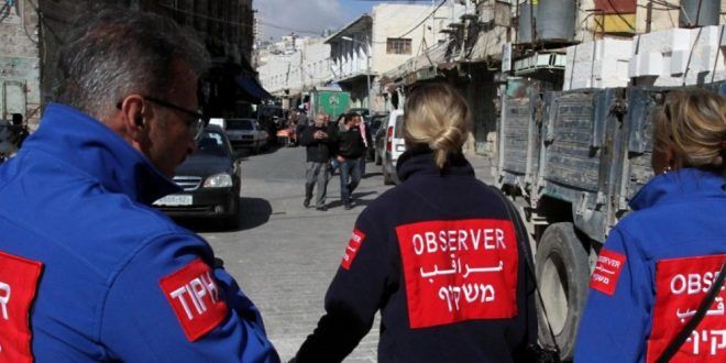 MOFA: TIPH expulsion aims to cover up grave, systematic violations in Palestine