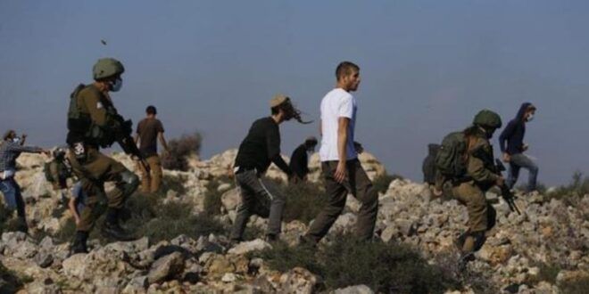 Palestinian sustains bruises in settler attack east of Nablus