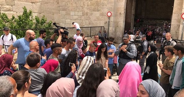 hunger strike goes viral as masses take to streets