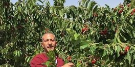 Palestinian detainee subjected to brutal torture during investigation