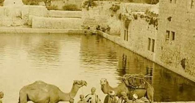 Sultans Pool in Al-Khalil