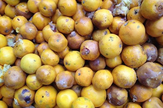 90% of rotten goods in West Bank made in Israel