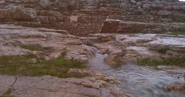 Authority: Israel ceaselessly loots Palestinian natural resources
