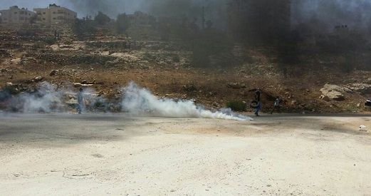 Injuries, arrests as IOF violently disbands vigil outside Ofer jail