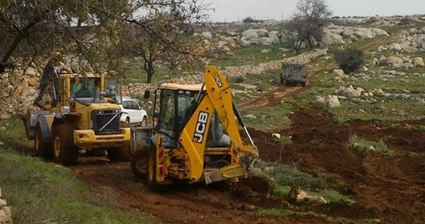Israeli army destroys olive groves, cultivated lands in Salfit