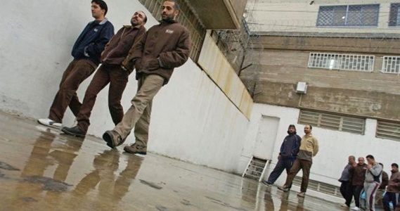 Captive Shalash suspends hunger strike