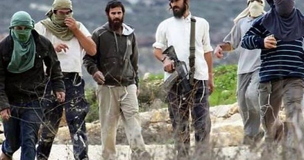 Israeli settlers storm Palestinian archaeological site in al-Khalil