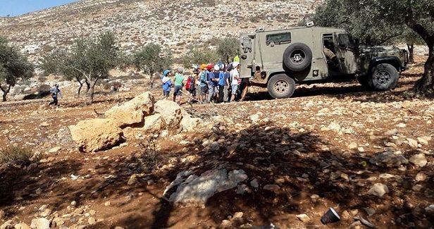 Israeli settlers attack Palestinian olive pickers near Nablus