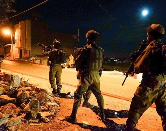 Israeli forces detain 29 Palestinians, including 2 women, in West Bank
