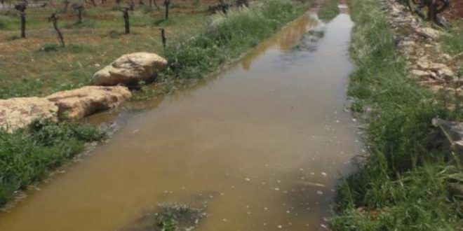 Bethlehem: Israeli settlers flood agricultural land with wastewater