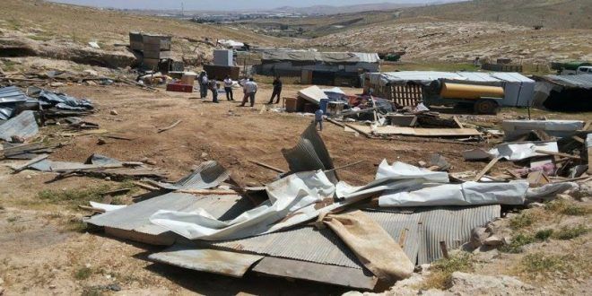 80+ INGOs Urge Israel to Halt the Demolition and Forcible Transfer of the Bedouin