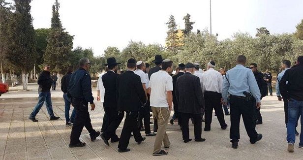 Settlers defile Aqsa Mosque under police escort
