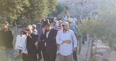 Dozens of settlers defile Aqsa Mosque