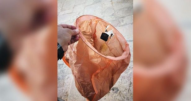 Israeli settlers attempt to burn the Dome of the Rock