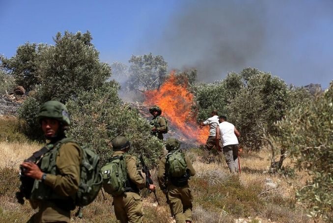 Jewish Settlers Set Fire to Palestinian Fields near Nablus