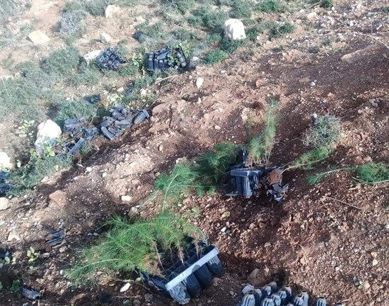 Israeli settlers destroy 1000 tree saplings in West Bank village