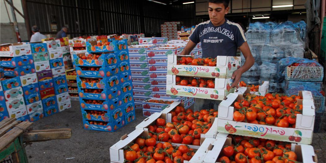 Palestinian economy sustains $2.5bn yearly revenues loss due to Israeli occupation: UN