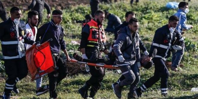 Two Palestinians killed by IOF fire in Gaza border clashes