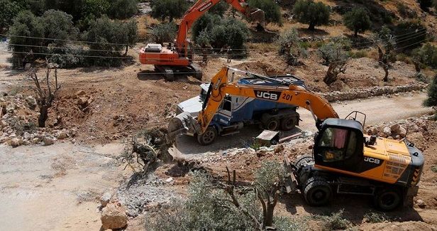 IOA uproots dozens of olive trees east of Tubas.