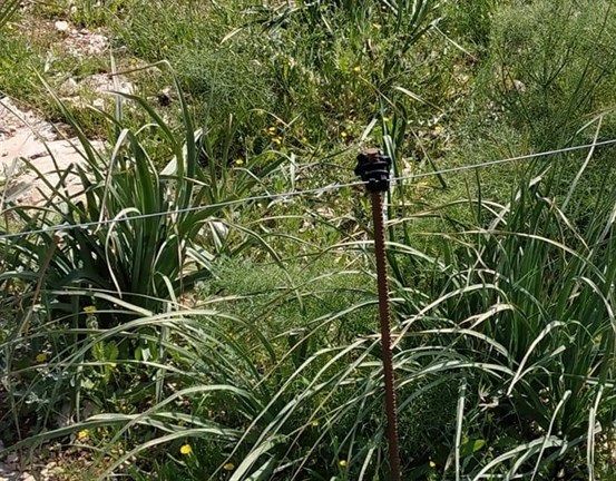 Israeli settler expropriates Palestinian lands using electric fence