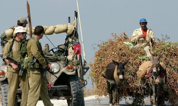 Israel bulldozes Palestinian land to make way for settler road
