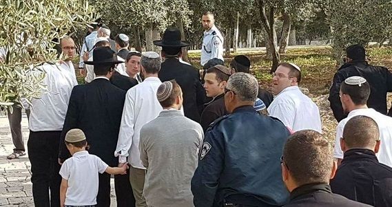 Over 100 Israeli settlers storm 3rd holiest site in Islam