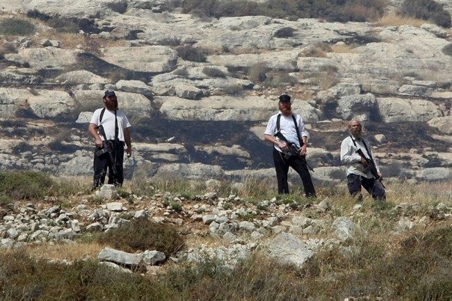 Israeli settlers steal olive harvest from Nablus-area villages
