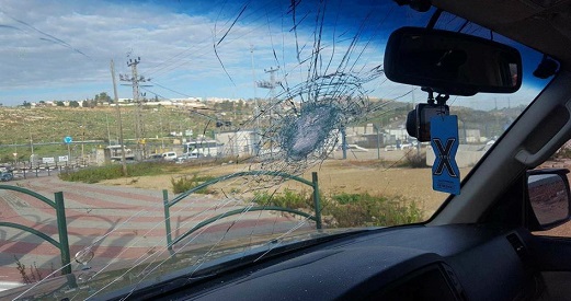 Palestinian activist injured in settler attack in Nablus