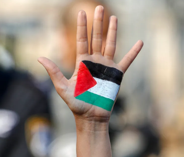 Calls for urgent international intervention in Sheikh Jarrah case