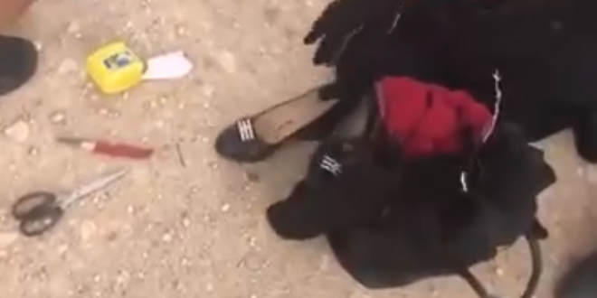 IOF open fire at Palestinian woman under claims of stabbing attempt