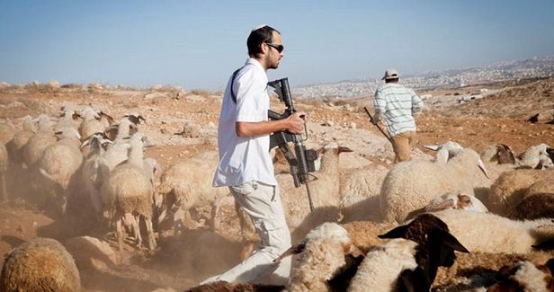 Soldiers and settlers assault, detain three shepherds in al-Khalil
