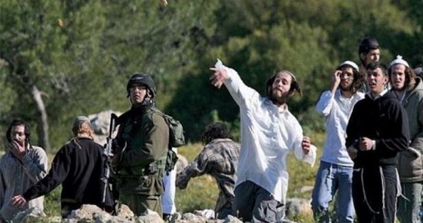 Settlers wreak havoc on five agricultural rooms in western Salfit